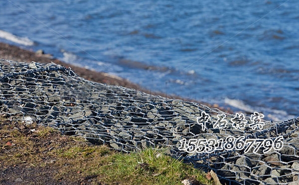 雷諾護墊 雷諾護墊