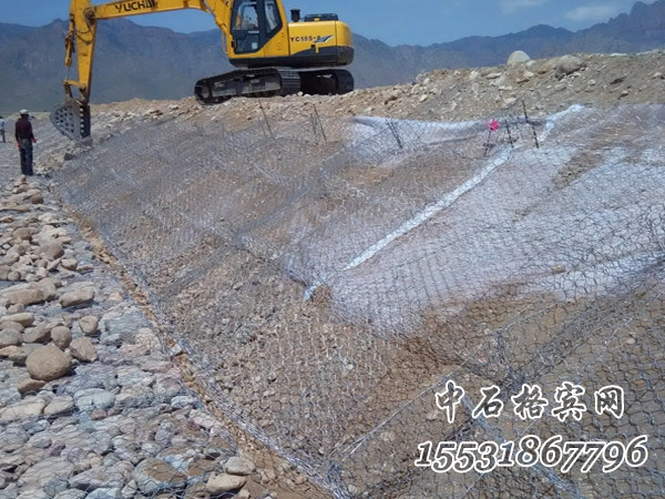 雷諾護墊 雷諾護墊