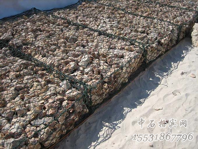 雙隔板綠濱墊.jpg 雙隔板綠濱墊.jpg